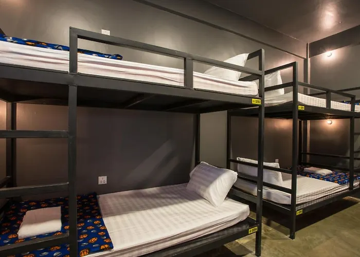 White Rabbit Hostel