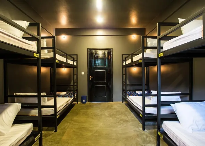 White Rabbit Hostel *