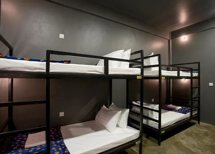 White Rabbit Hostel